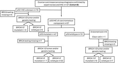 Ovarian carcinosarcomas: p53 status defines two distinct patterns of oncogenesis and outcomes